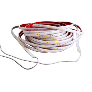 LED Stripes ab IP44 bei Elektro-Betrieb Bernd Reinhardt in Wüstheuterode